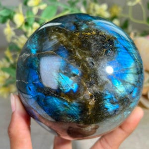 Puede incluir: Una esfera de labradorita pulida con una superficie lisa y redondeada con destellos azules profundos e iridiscentes. La piedra muestra un patrón complejo de inclusiones gris oscuro, marrón y negro contrastado por vibrantes reflejos de luz azul.