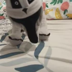 May include: A plush, gray and white toy animal with large black eyes and a black snout. The toy is posed on a bed with a floral patterned comforter. The toy's design resembles a cartoon character.