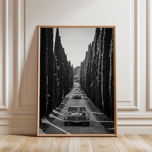 Peut inclure: Une impression d'art mural encadrée en noir et blanc représentant un cabriolet Mercedes-Benz classique roulant sur une route étroite bordée de grands cyprès denses. Une file de voitures anciennes similaires suit sur le chemin pavé.