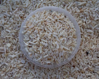 White Bamboo Coral Chips 5–12mm – Tumbled Natural Gemstone for Jewelry Making