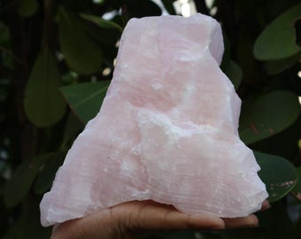 May include: A large, rough-hewn chunk of rose quartz, a pale pink gemstone. The stone is held in a hand, with a backdrop of green foliage. The surface of the quartz has a slightly textured appearance.