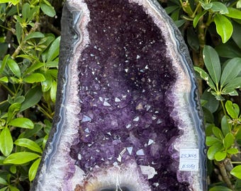XL Amethyst Cathedral Geode 25.3 lb– Deep Purple Standing Crystal Display Specimen