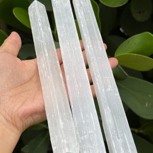 May include: Three long, slender selenite crystal wands with a translucent, white, fibrous appearance. Each wand features a natural, elongated rectangular shape with a pointed tip on one end and a flat, rough-cut base on the other end.