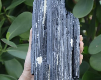 Extra Large Natural Black Tourmaline Crystal – Rough Chunk, Rod, Log Formation