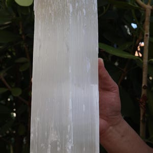 Puede incluir: Un gran cristal de selenita rectangular con una apariencia blanca translúcida. El cristal se sostiene en las manos de una persona, mostrando su tamaño y textura natural. El fondo presenta follaje verde.