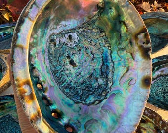 Jumbo Abalone Shell – 7"–8" Natural Seashell Incense Burner Smudge Bowl & Home Decor