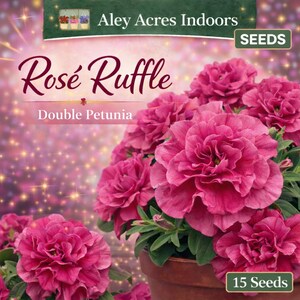 Petunia Doble **SEMILLAS** – “Rosé Ruffle” Flores de color rosa intenso (15 semillas)