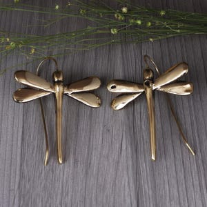 Può includere: Un paio di orecchini a forma di libellula color oro. Ogni orecchino presenta un design a libellula con ali dettagliate e un corpo lungo e sottile. Gli orecchini sono appoggiati su una superficie di legno grigio, con un rametto di verde sullo sfondo.