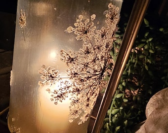 Queene Anne's lace fairy lantern
