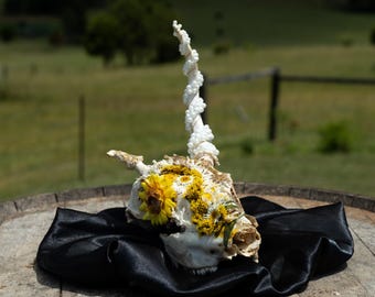 Pearled Sunflower Deer Skull | Handcrafted Nature Decor | Boho Mystical Wall Art