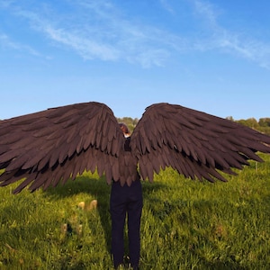 Puede incluir: Grandes alas de ángel de plumas marrones oscuras, extendidas contra un cielo azul. Las alas son el punto focal, con una persona de pie en un campo de hierba. Las alas parecen estar hechas de plumas individuales.