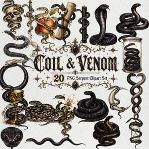 Könnte beinhalten: Eine digitale Sammlung von 20 Schlangenillustrationen mit dem Titel COIL & VENOM. Das Set zeigt schwarze und graue Schlangen, die sich um Objekte wie einen Schädel, einen Dolch, einen Apfel, eine Schriftrolle, eine Kerze und ein Glasgefäß winden.