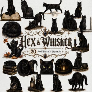 May include: A digital collection of 20 black cat illustrations titled Hex & Whisker, featuring various poses of cats with occult accessories like spell books, crystal balls, lanterns, witch hats, and candles, all rendered in a detailed artistic style.