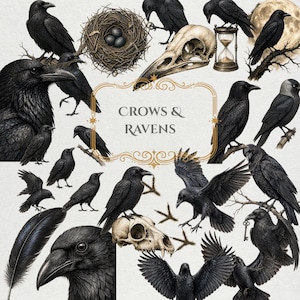 Crow Clipart Bundle PNG | 20 Dark Watercolor Raven Corvid Bird Art | Gothic Dark Academia Junk Journal | Instant Download Commercial Use