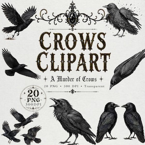 May include: A digital collection of black crow illustrations featuring various poses including flying and perched birds. The text reads CROWS CLIPART, A Murder of Crows, 20 PNG, 300 DPI, Transparent. The design includes ornate decorative flourishes.
