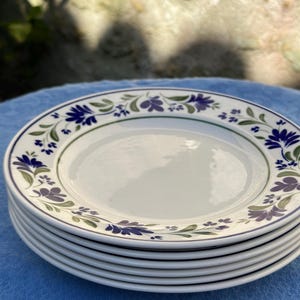 Peut inclure: Une pile d'assiettes en céramique blanche avec un motif floral. Les assiettes ont un motif floral bleu et violet sur le bord avec des feuilles vertes. Les assiettes sont empilées sur une surface bleue.