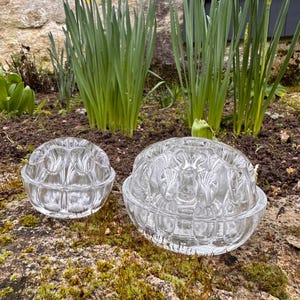 Può includere: Due ranocchiere di vetro trasparente, una grande e una piccola, sono appoggiate su una roccia muschiosa. Le ranocchiere hanno un motivo a griglia per disporre i fiori. I narcisi con petali gialli e bianchi e steli verdi sono sullo sfondo.