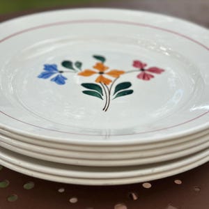 Pode incluir: Uma pilha de pratos de cerâmica branca com um design floral. Cada prato apresenta uma borda vermelha e um motivo central de flores azuis, laranja e rosa com folhas verdes. Os pratos estão empilhados em uma superfície marrom.