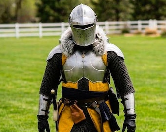 Peut inclure: Un chevalier médiéval en armure complète, comprenant un casque, une cuirasse et une cotte de mailles. Le chevalier porte une tunique jaune et noire et porte une épée. L'image est prise sur un champ herbeux vert avec une clôture blanche et des arbres en arrière-plan. Le logo "Knights In" est visible.