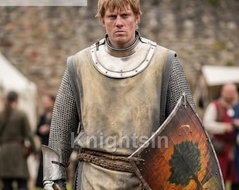 Ser Duncan The Tall Armor – Medieval Knight Costume – Dunk Shield with Tree Sigil – Fantasy LARP Cosplay – Hedge Knight Replica