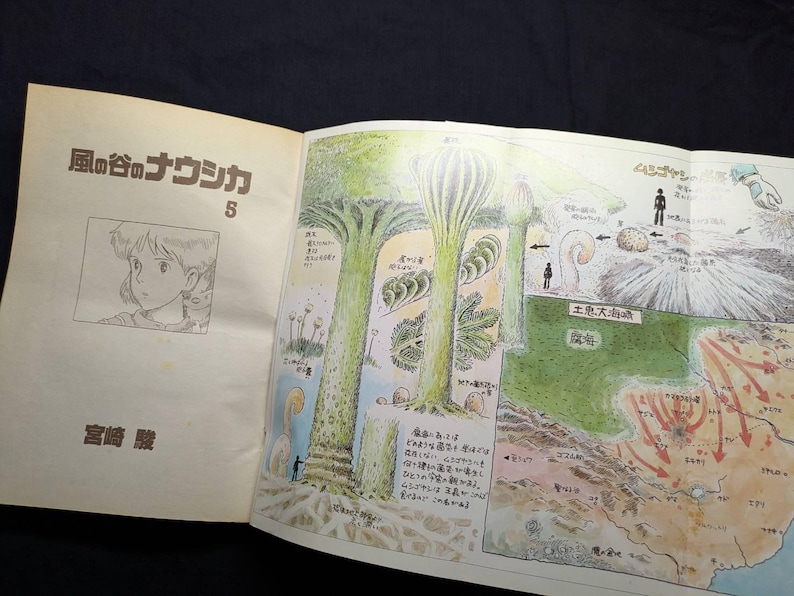 May include: Open book with Japanese text and illustrations. The left page features a portrait of a young woman and the title "Nausica&auml; of the Valley of the Wind" in Japanese. The right page shows a detailed, colorful map and drawings of fantastical plants.
