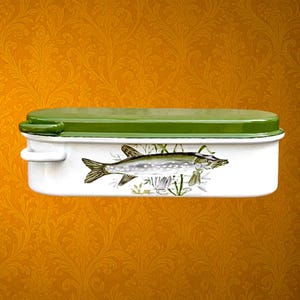 May include: A white enamel rectangular food storage container with a green lid. The container features a detailed illustration of a fish and aquatic plants. The lid has a handle, and the container has a handle on the side.