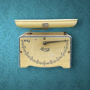 Lyssex Scale - Etsy