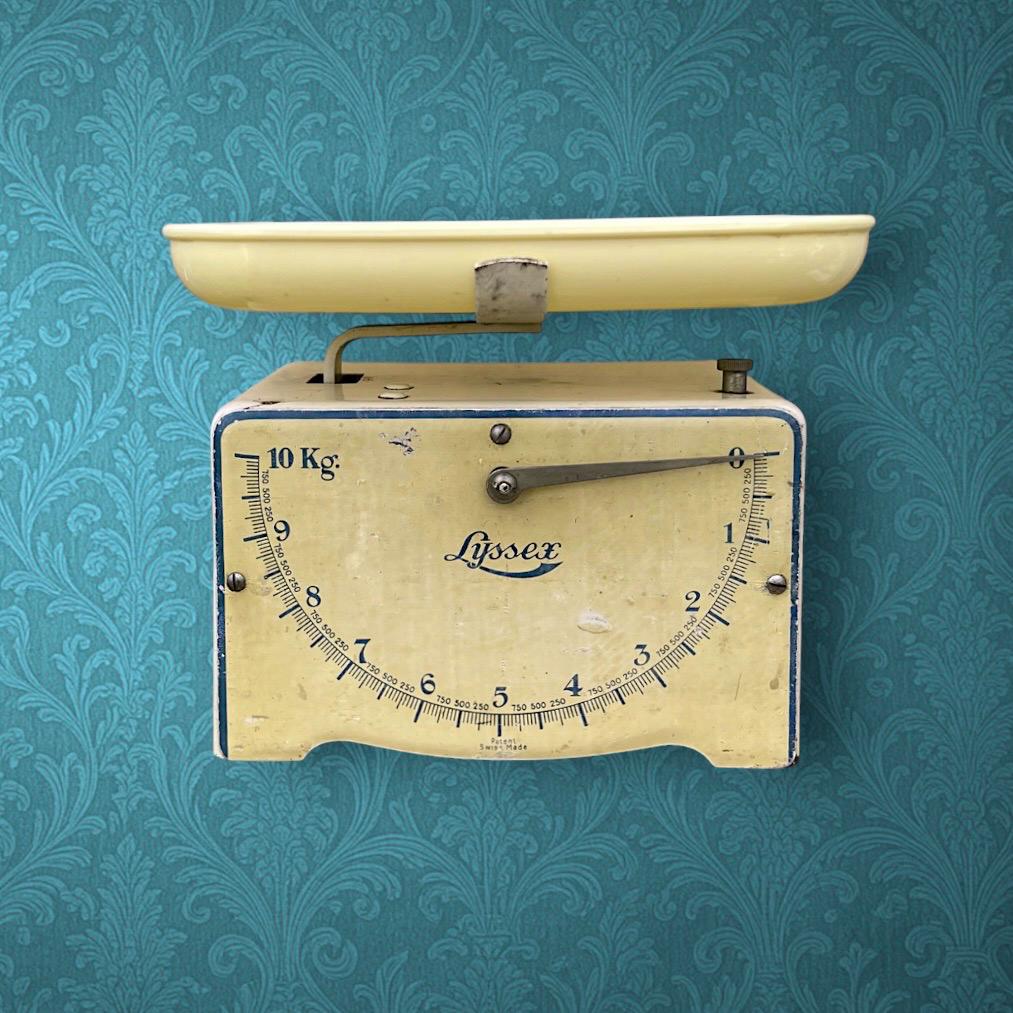 Lyssex Scale - Etsy