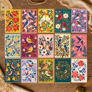 Könnte beinhalten: Eine Sammlung von fünfzehn rechteckigen Grußkarten mit verschiedenen Vogelillustrationen, darunter Kardinäle, Eulen, Kolibris und Spechte, vor farbenfrohen botanischen Hintergründen mit Blumen, Tannenzapfen und saisonalem Blattwerk.