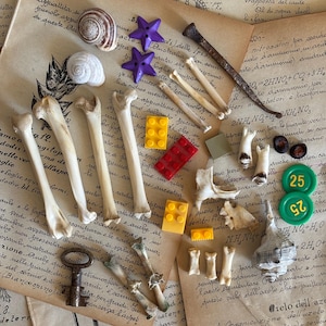 Può includere: Una collezione di oggetti assortiti che include varie ossa di animali, due bottoni viola a forma di stella, un chiodo di metallo arrugginito, una chiave di metallo vintage, mattoncini da costruzione in plastica gialli e rossi, due gettoni verdi con il numero 25 e conchiglie.