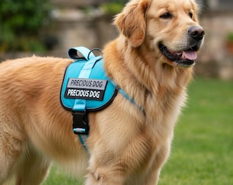 Dog Harness with ID Window - No Pull Reflective Vest for Medium Large Dogs - Soft Handle Adjustable - Anti-Lost