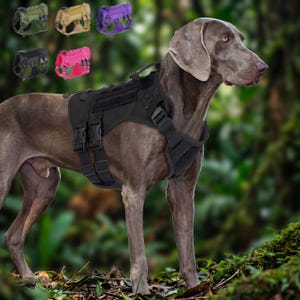 Arnés táctico antitirones para perros - Chaleco antiescape para perros medianos y grandes - Transpirable con asa - 3 tallas, arnés para Weimaraner y Rottweiler