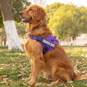 Szelki dla psów średnich i dużych, zapobiegające ciągnięciu – kamizelka odblaskowa z uchwytem i odpinaną naszywką – antypoślizgowe szelki dla zwierząt – 8 kolorów XXS-XXL