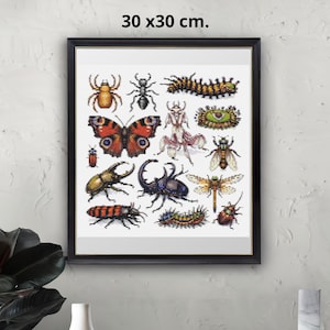 May include: Framed insect art print, 30 x 30 cm. The print features a collection of colorful insect illustrations, including a butterfly, beetles, and a dragonfly, set against a white background, framed in black.