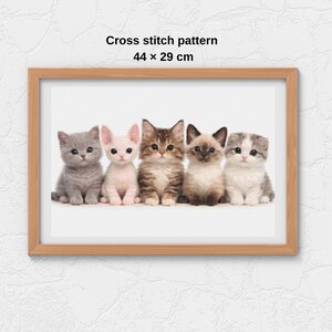Puede incluir: Un patrón de punto de cruz enmarcado con cinco adorables gatitos de varias razas y colores. Los gatitos están dispuestos en fila, con un gatito gris a la izquierda, seguido de un gatito rosa, un atigrado marrón, un siamés y un gatito gris y blanco. El marco mide 44 x 29 cm.