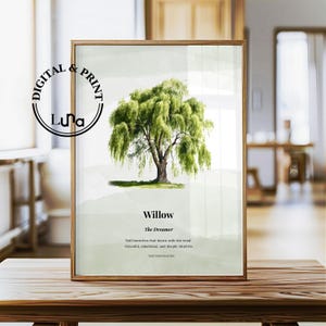 May include: A framed print featuring a watercolor illustration of a willow tree. The tree has green leaves and a brown trunk. Text on the print reads "Willow, The Dreamer" with additional descriptive text. The print is displayed on a wooden table.