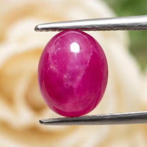 Könnte beinhalten: Ein leuchtender, ovaler, im Cabochon-Schliff gefertigter Rubin mit einem tiefen Magenta-Pink-Farbton und einer glatten, polierten Oberfläche. Der Edelstein wird sicher zwischen den beiden Metallspitzen einer silberfarbenen Pinzette gehalten.