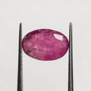 Op de afbeelding: Een gefacetteerde, ovaalvormige robijn edelsteen, vastgehouden door een pincet. De robijn vertoont een diepe roze-rode tint met interne insluitsels. De edelsteen staat tegen een effen witte achtergrond.
