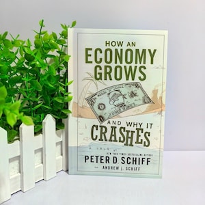 How An Economy Grows and Why It Crashes Paperback | Economics, Finance, Markets (English Edition)