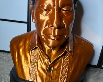 Custom made 250mm / 10” bust 2-3 colors