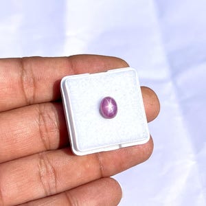 Könnte beinhalten: Ein kleiner, ovaler Sternrubin im Cabochon-Schliff mit einem deutlichen sechsstrahligen Sterneffekt auf der Oberfläche. Der tiefrosa Edelstein ist mittig in einer quadratischen, weißen Schachtel mit Schaumstoffeinlage platziert.