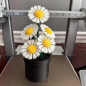 May include: A 3D-printed arrangement of daisies in a black pot. The daisies have white petals and yellow centers. The pot is cylindrical and sits on a brown surface. The stems are green.