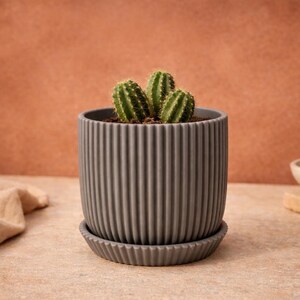 May include: A gray, ribbed ceramic planter with a matching saucer holds a small cactus. The cactus has three green stems. The planter sits on a light-colored surface, with a neutral background.