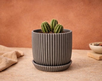 Minimal Ribbed Planter with Tray | Modern Indoor Succulent Pot
