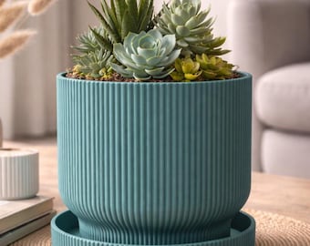 Modern Indoor Plant Pot with Tray | Statement Planter for Succulents & Houseplants | Minimal Home Decor