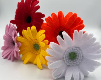 Bright, colorful Gerbera daisies!
