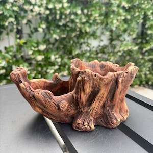 May include: A brown, tree stump-shaped planter with two openings. The planter has a textured surface and is made of a material that resembles wood. The planter is sitting on a dark gray surface, with a background of green foliage.