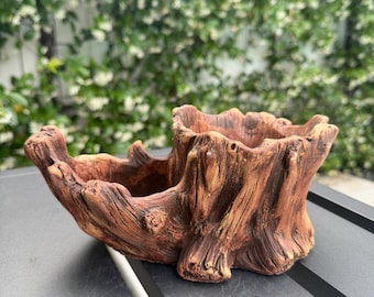 Maceta para suculentas con diseño de raíces talladas, nueva tienda / antigua – Selección de coleccionista, decoración de diseño para el hogar, regalo para fiestas