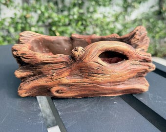 Free Ground Shipping | Driftwood Log Planter | Rustic Tree Trunk Succulent Pot – Collector’s Choice, Designer Home Decor, Party Gift