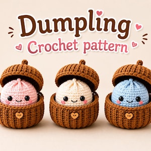 Häkelanleitung für eine Teigtasche und einen Dampfgarer, das virale Kawaii-Teigtaschen-Amigurumi-Plüschtier, einfache Anfänger-Teigtasche (PDF-Anleitung), sofortiger Download